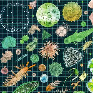 Listen to PLANKTON SHELDON song with lyrics from Game Kutya