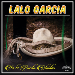 ดาวน์โหลดและฟังเพลง Seca Tu Llanto พร้อมเนื้อเพลงจาก Lalo Garcia