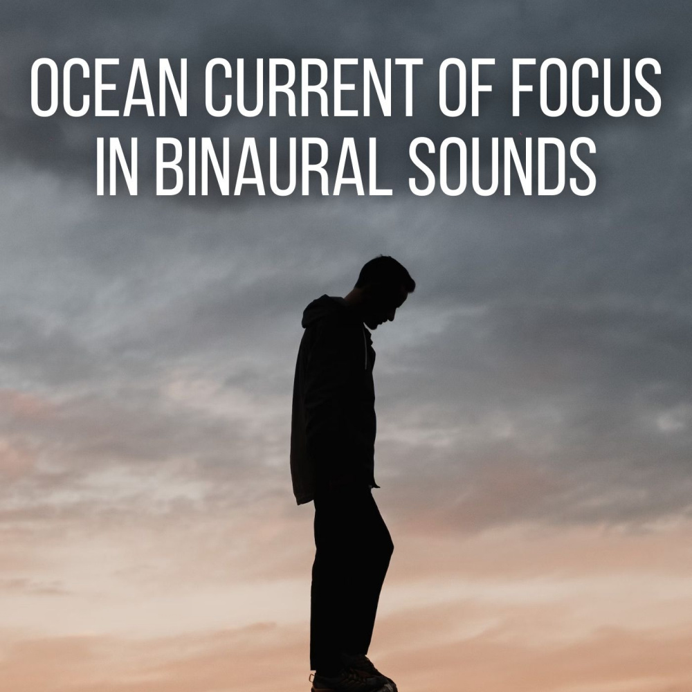 Ocean Focus Current