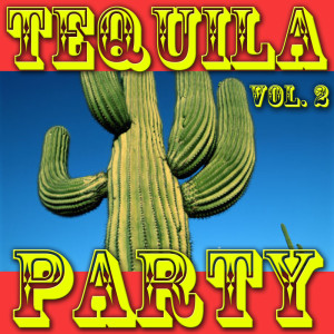 Album Tequila Party, Vol. 2 from Diversion