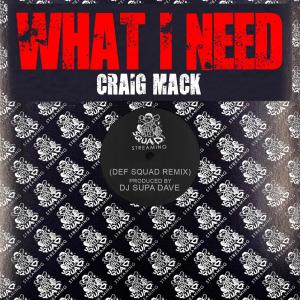 Craig Mack的專輯What I Need Remix