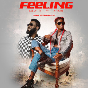 อัลบัม Feeling ศิลปิน Ahkan