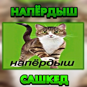 Listen to Напёрдыш (Explicit) song with lyrics from САШКЕД