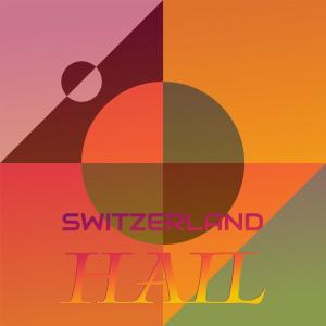 Various Artists的專輯Switzerland Hail