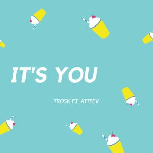 Album It’s You (feat. Atteev) from Trosk
