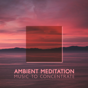 Album Ambient Meditation Music to Concentrate and Focus (Learn and Chill) from Exam Study Chillout