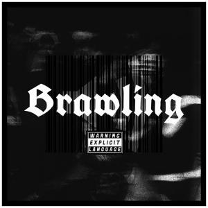 Listen to Brawling (Explicit) song with lyrics from Hitmo'17