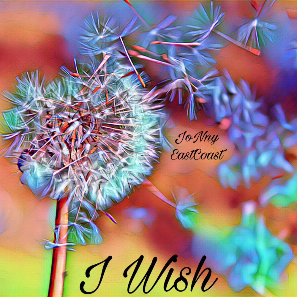 I Wish (Explicit)