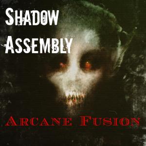 收聽Shadow Assembly的Plaything (feat. Marselle Hodges)歌詞歌曲