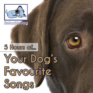 收聽Relaxmydog的Running in the Rain歌詞歌曲