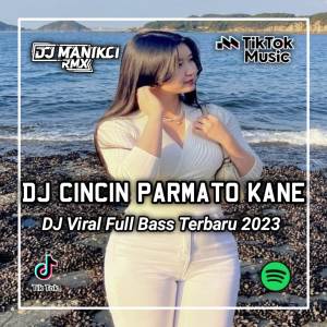 DJ Manikci Team的专辑DJ CINCIN PARMATO DI JARI MANIH BREAKBEAT
