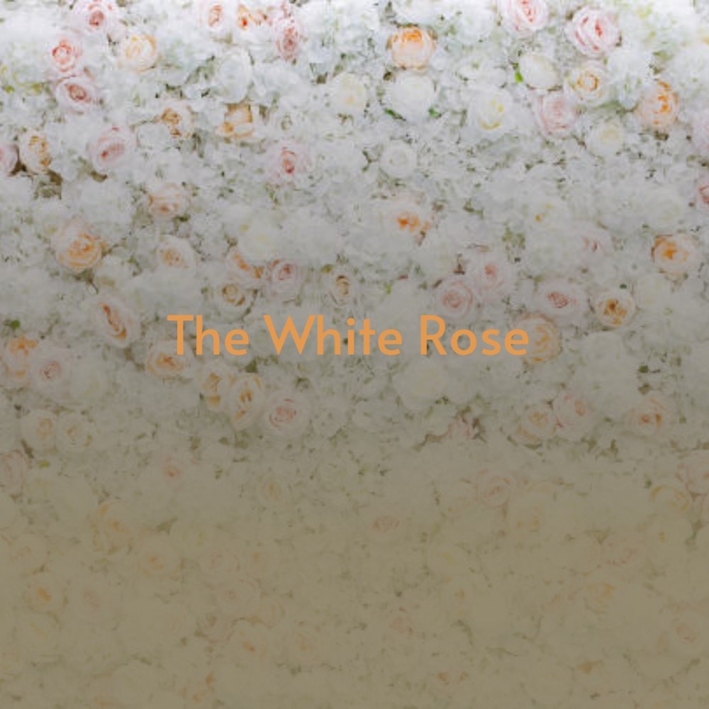 The White Rose