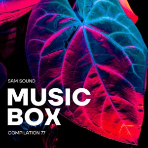 Album Music Box Pt . 77 from Various Artists