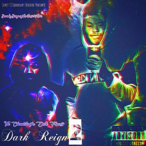 Staryoung的专辑The Chronicles of a Dark Phoenix (Explicit)