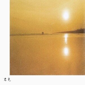 Album KIMIIRO from Gold & Silver