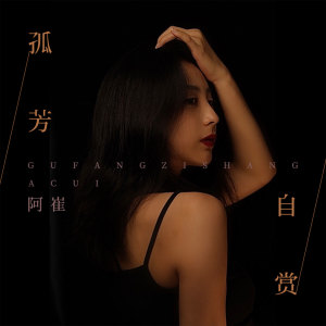 Listen to 孤芳自赏 (伴奏) song with lyrics from 阿崔