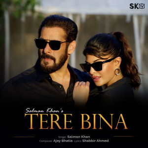 Album Tere Bina oleh Salman Khan
