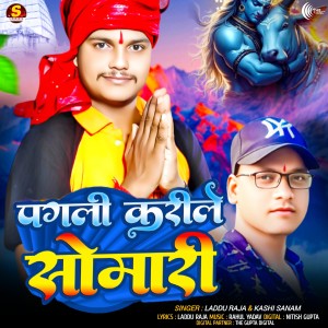 Listen to Pagli Kareli Somwari song with lyrics from Laddu Raja