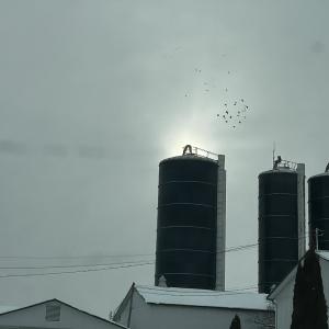 收聽Khadka的Oxidation (feat. Q-PiiiD & Roby)歌詞歌曲