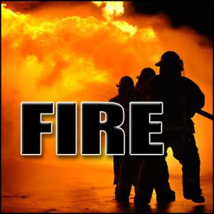 ดาวน์โหลดและฟังเพลง Fire, Forest - Forest Fire: Rumble and Crackle Fire Scenes, Fires & Flames, Blockbuster Sound Effects พร้อมเนื้อเพลงจาก Sound Effects Library
