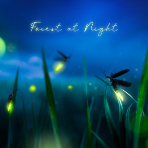 Album Forest at Night (Relaxing Nature Sounds (Crickets) with Instrumental Background Music - Deep Sleep Aid) from Forest Hills Music Universe