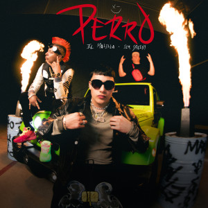 ดาวน์โหลดและฟังเพลง Perro (Explicit) พร้อมเนื้อเพลงจาก El Malilla