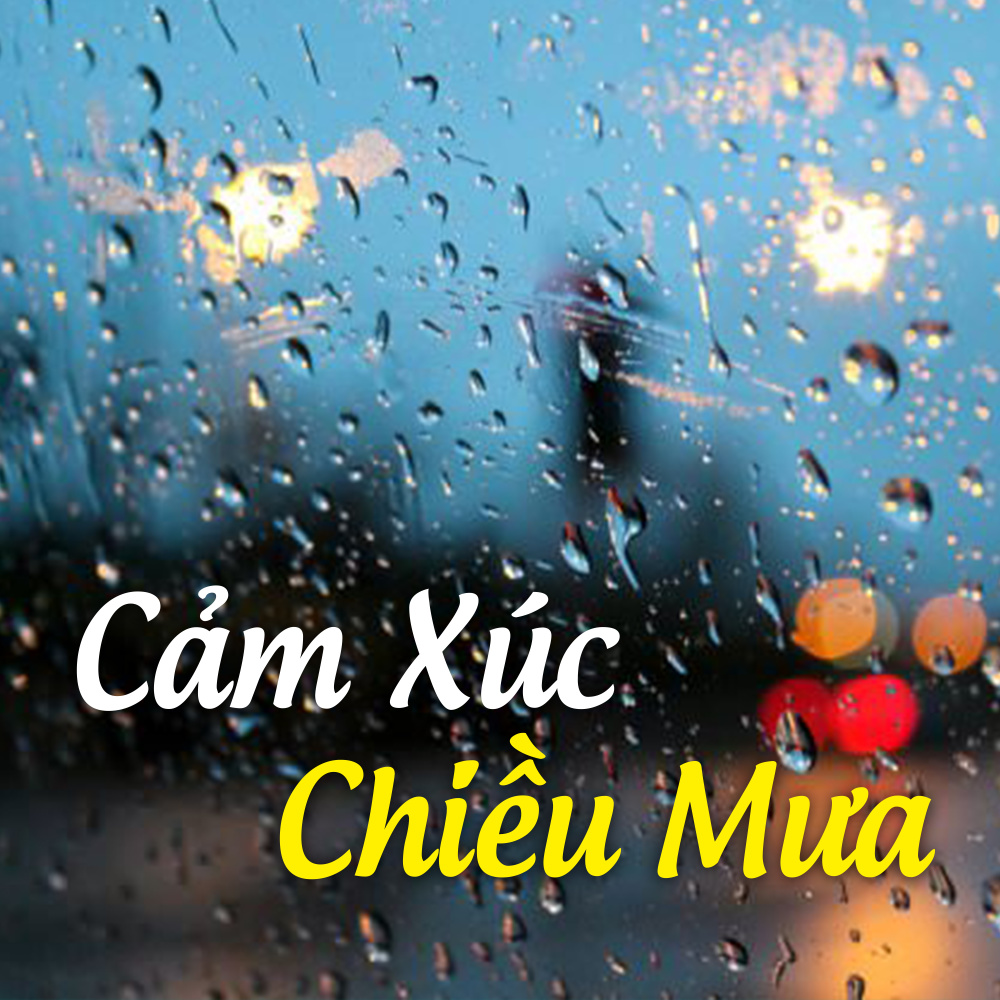 Mưa chiều