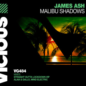 Listen to Malibu Shadows (Alaia & Gallo Remix) song with lyrics from James Ash
