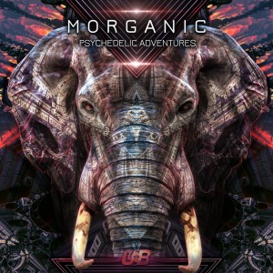 Album Psychedelic Adventures from Morganic