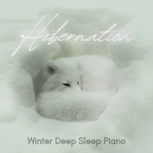 ดาวน์โหลดและฟังเพลง Deep Sleep Vibes พร้อมเนื้อเพลงจาก Relax α Wave