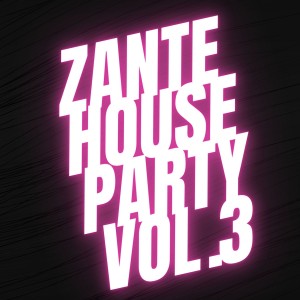Various的专辑Zante House Party Vol.3