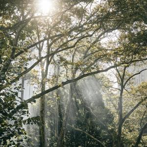 Listen to May It Be song with lyrics from Relaxing Music