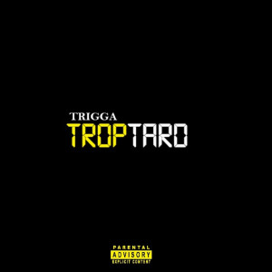 收听Flex Tha Boss的Trop Tard (Explicit)歌词歌曲
