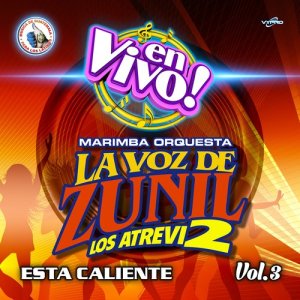 收聽Marimba Orquesta La Voz de Zunil的Despacito歌詞歌曲