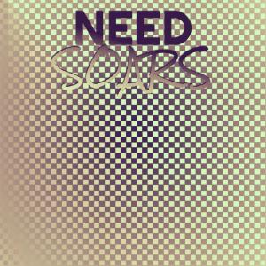 Various的专辑Need Soars