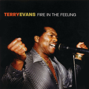 Listen to Lets Get Gone song with lyrics from Terry Evans