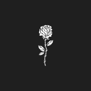 Listen to No Limit (Explicit) song with lyrics from RILEY