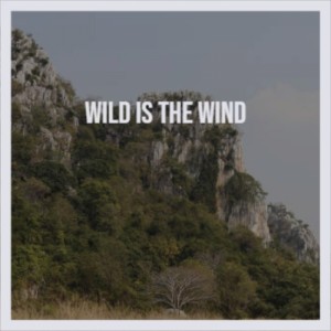 Dengarkan Wild Is the Wind lagu dari Nina Simone dengan lirik