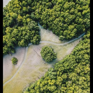 Listen to Summer Breeze song with lyrics from Deep Sleep