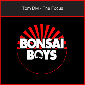 收聽Tom DM的The Focus (Radio-Edit)歌詞歌曲