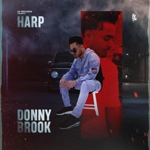 Album DONNYBROOK from Harp Multani