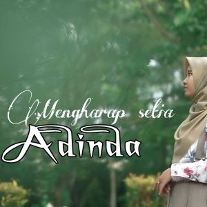 Listen to Mengharap Setia song with lyrics from ADINDA