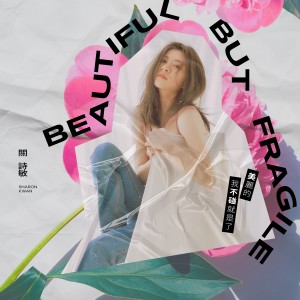 ดาวน์โหลดและฟังเพลง 美麗的 我不碰就是了 พร้อมเนื้อเพลงจาก 关诗敏