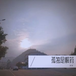 收听家家的孤独是解药 (伴奏)歌词歌曲