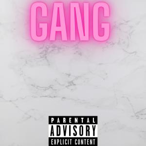 Listen to Gang! (Explicit) song with lyrics from Lil Harrypro