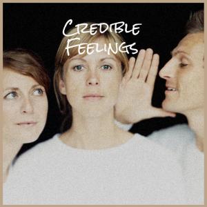 Listen to Credible Feelings song with lyrics from Brory