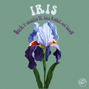 Listen to Iris song with lyrics from Desh