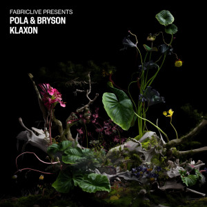 Album Klaxon from Pola & Bryson
