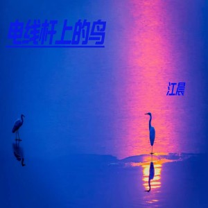 收聽江晨的電線杆上的鳥 (LUCY新版)歌詞歌曲