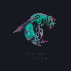 ดาวน์โหลดและฟังเพลง Like the Wind (其他) พร้อมเนื้อเพลงจาก Lifeserzh